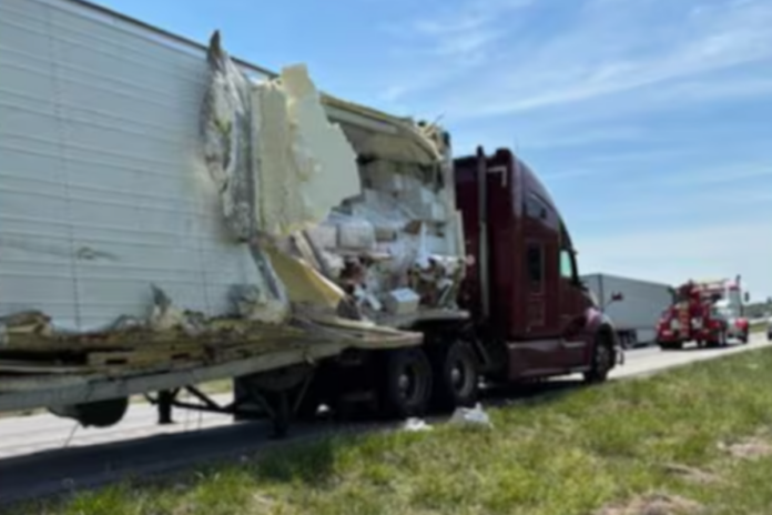 spicy chicken wings scattered