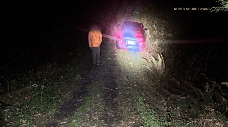 Washington Tow Truck Driver Hikes Half a Mile Into Woods at Midnight to Rescue Stranded Uber Eats Driver for Free — GPS Had Sent Him Down a Private Logging Road